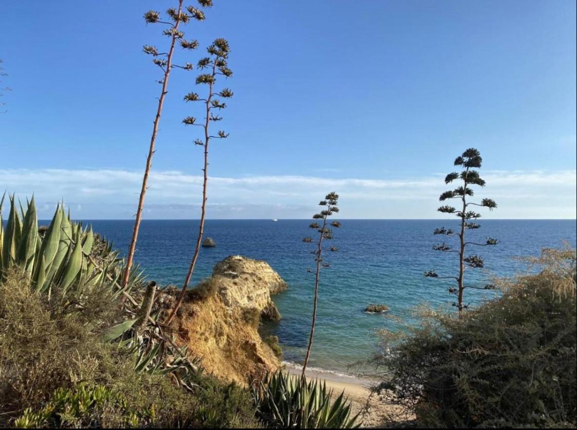 Nayjay Staycation Portimão Εξωτερικό φωτογραφία